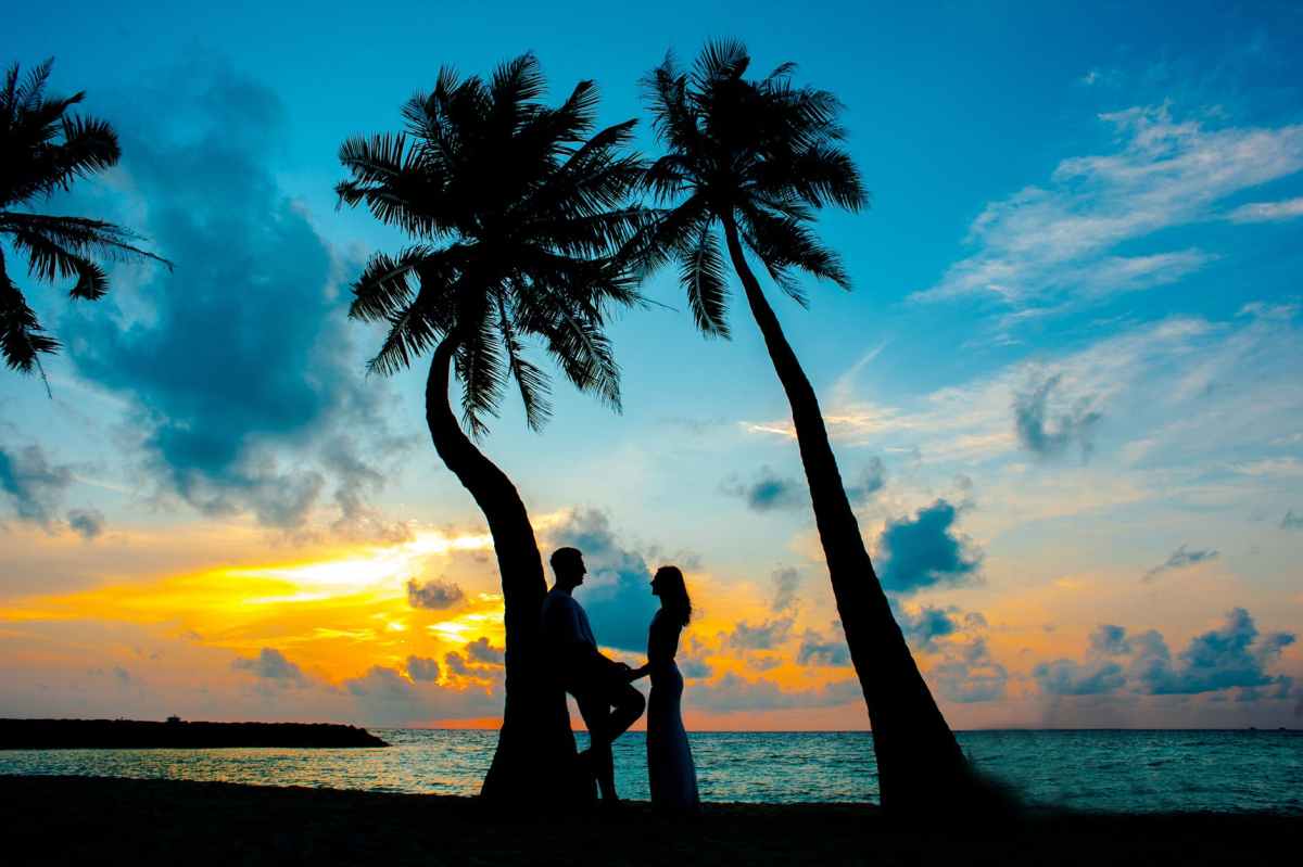 silhouette photo of male and female under palm trees